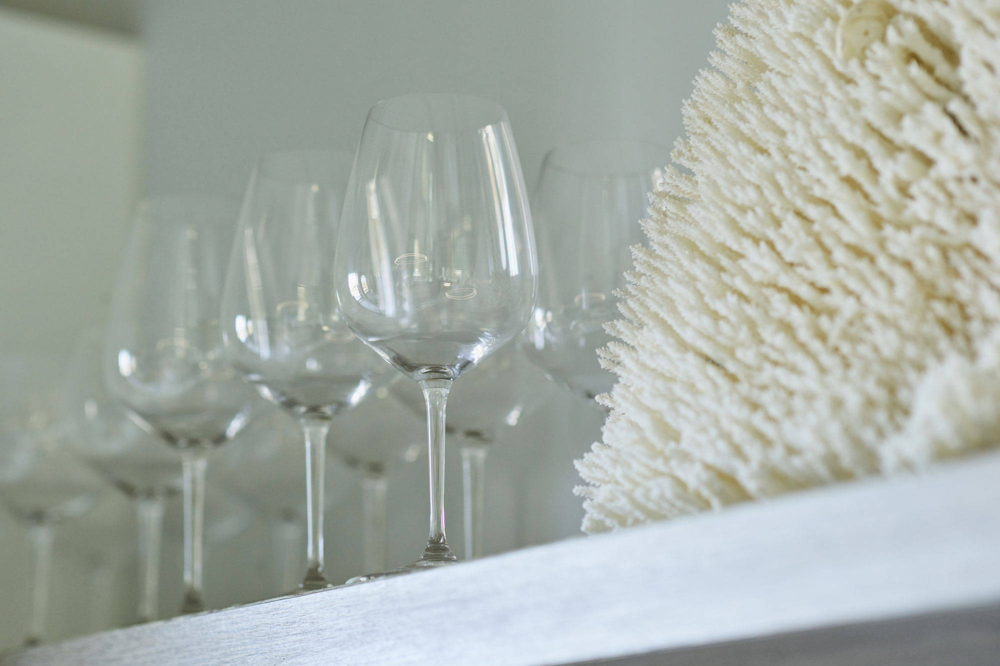 Wine Glasses and Coral on Office Shelf