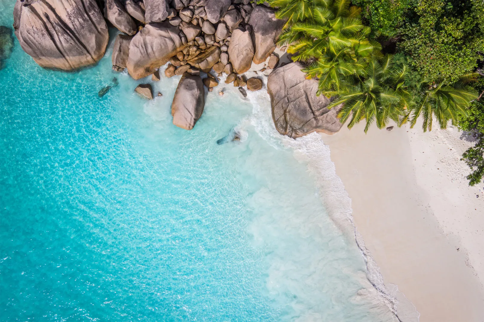 Turquoise waves lap a white shore with palm trees and rocks in a view from above - taken from an image in the Zandbergen Group's main offices in Laguna Beach, CA